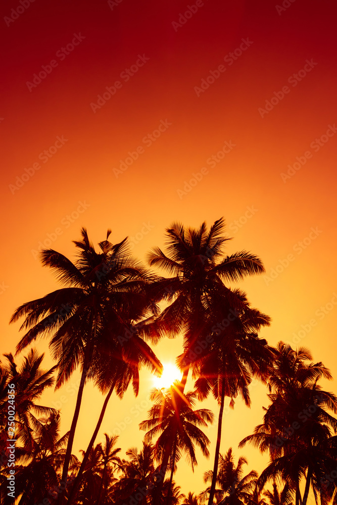 Tropical beach at sunset. Warm evening sun shine through coconut palm trees.