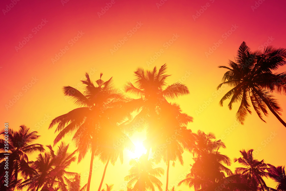 Tropical sunset sun and palm trees silhouettes on island beach.