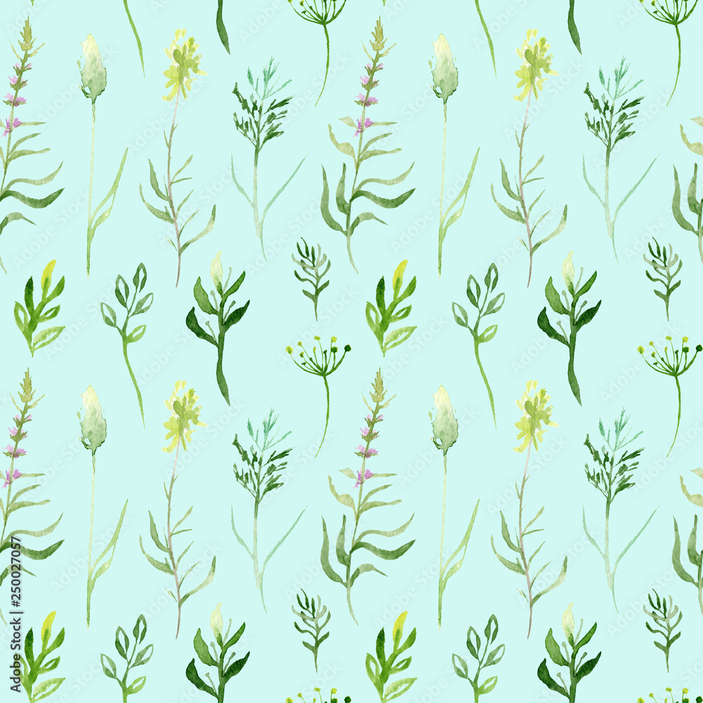 watercolor drawing seamless pattern of field plants, flowers and herbs