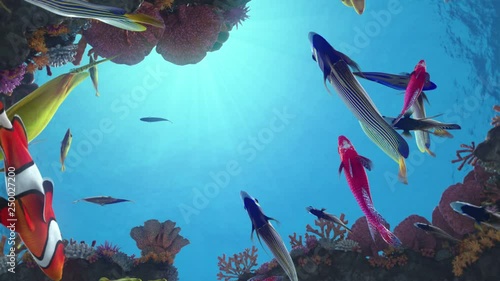 Seamless loop of colorful fish swimming around a vibrant coral reef with sun rays in the back - high quality 3d animation photo