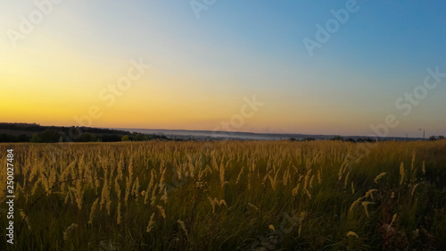Sunset over wheat field. Landscape View of  Farm Land during sunset. Border region of Ukraine near to Russia