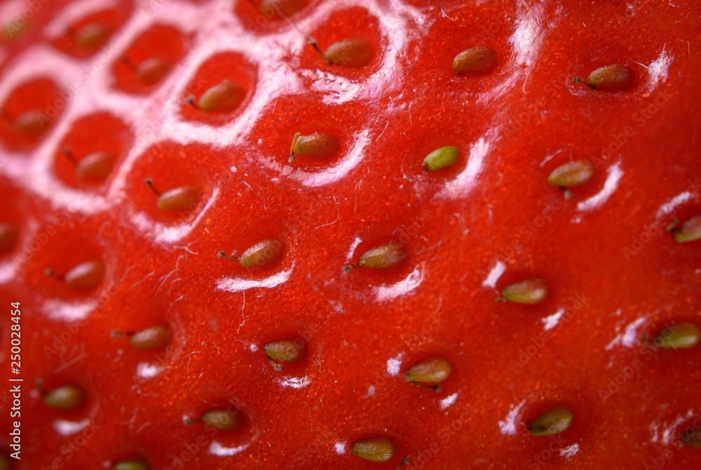Strawberry Surface Closeup Strawberry Surface Closeup
