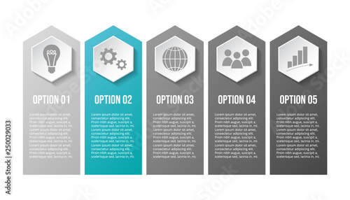 Design of gray company infographic with icons. Vector