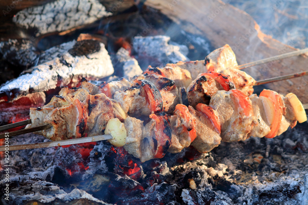 shish kebab on a fire