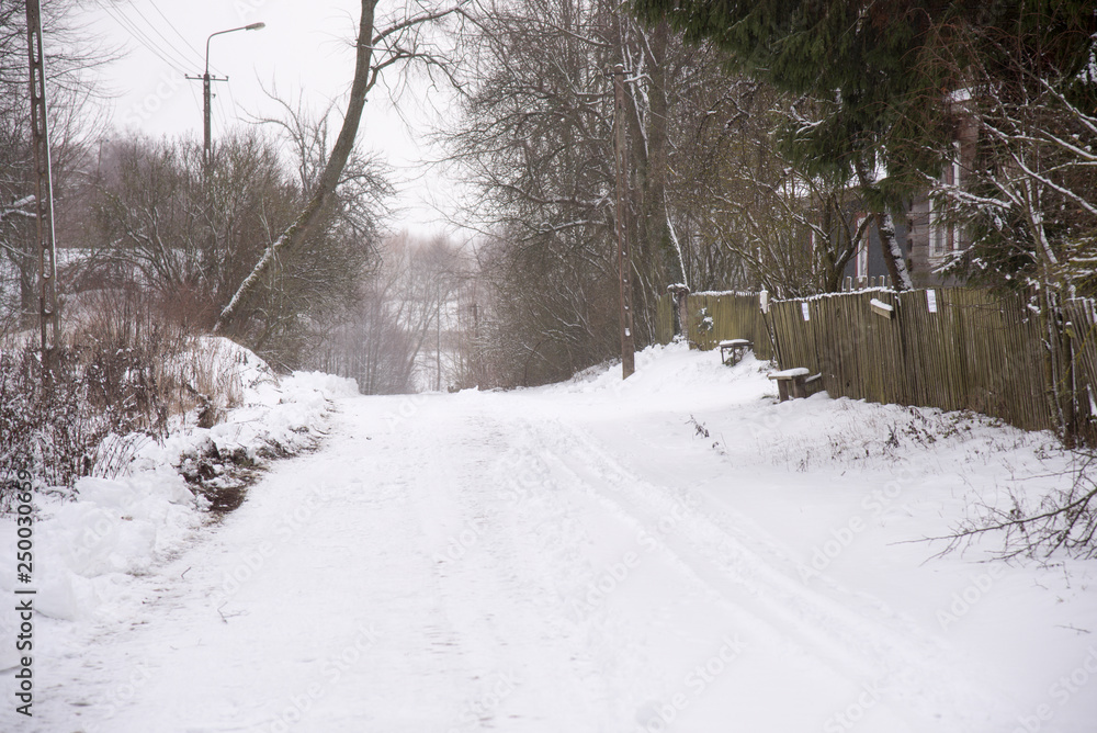 Naklejka premium Winter snow capped country road