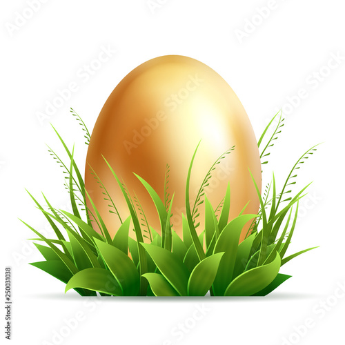 Realistic golden egg and green grass isolated on white background - vector easter composition. Illustration of easter egg in green grass