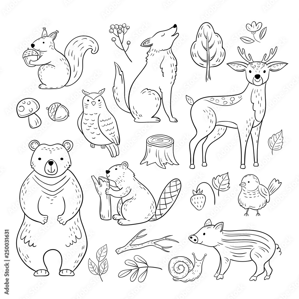 Doodle forest animals. Woodland cute baby animal squirrel wolf owl bear  deer snail childrens sketch vector hand drawn set. Illustration of animal  owl and squirrel, wolf and beaver Stock Vector | Adobe