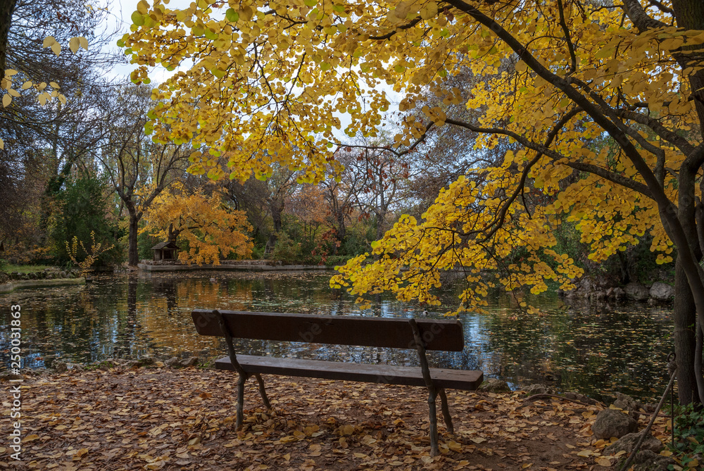 Autumn landscape with a bench in the foreground, trees with yellow leaves and pond. A cloudy afternoon in the caprice park in madrid, spain. Autumn landscape with a bench in the foreground, trees with yellow leaves and pond. A cloudy afternoon in the caprice park in madrid, spain.