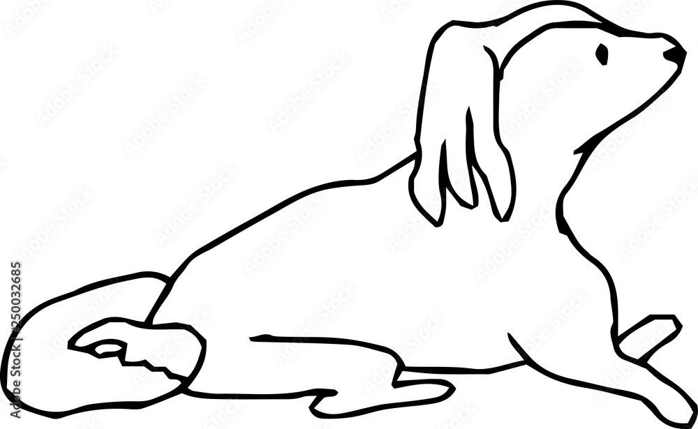 Obraz premium Poor hand-painted cute dog illustration outline