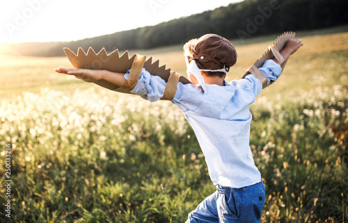 A small boy playing on a meadow in nature, with goggles and wings as if flying.