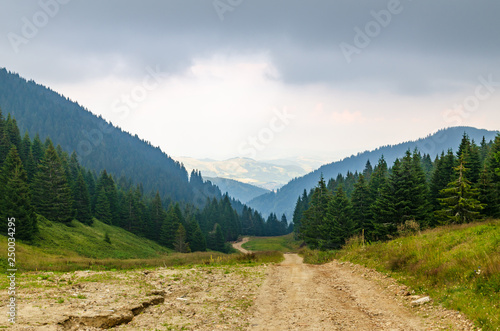 Natural road winding through hills on Kopaonik mountain, Serbia