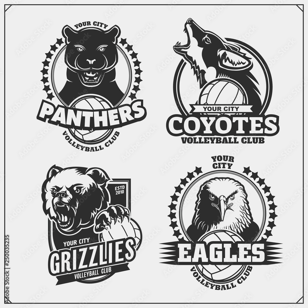 Sef of volleyball badges, labels and design elements. Sport club emblems with grizzly bear, panther, coyote and eagle. Print design for t-shirts. Sef of volleyball badges, labels and design elements. Sport club emblems with grizzly bear, panther, coyote and eagle. Print design for t-shirts.