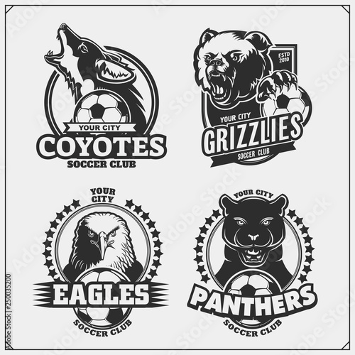 Set of vector football and soccer badges, labels and design elements. Sport club emblems with grizzly bear, panther, coyote and eagle. Print design for t-shirts.