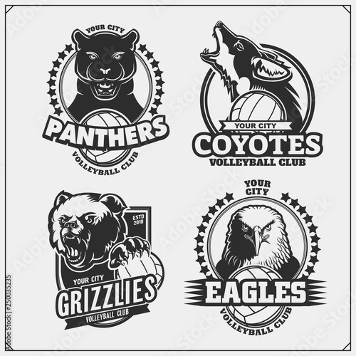 Sef of volleyball badges, labels and design elements. Sport club emblems with grizzly bear, panther, coyote and eagle. Print design for t-shirts.