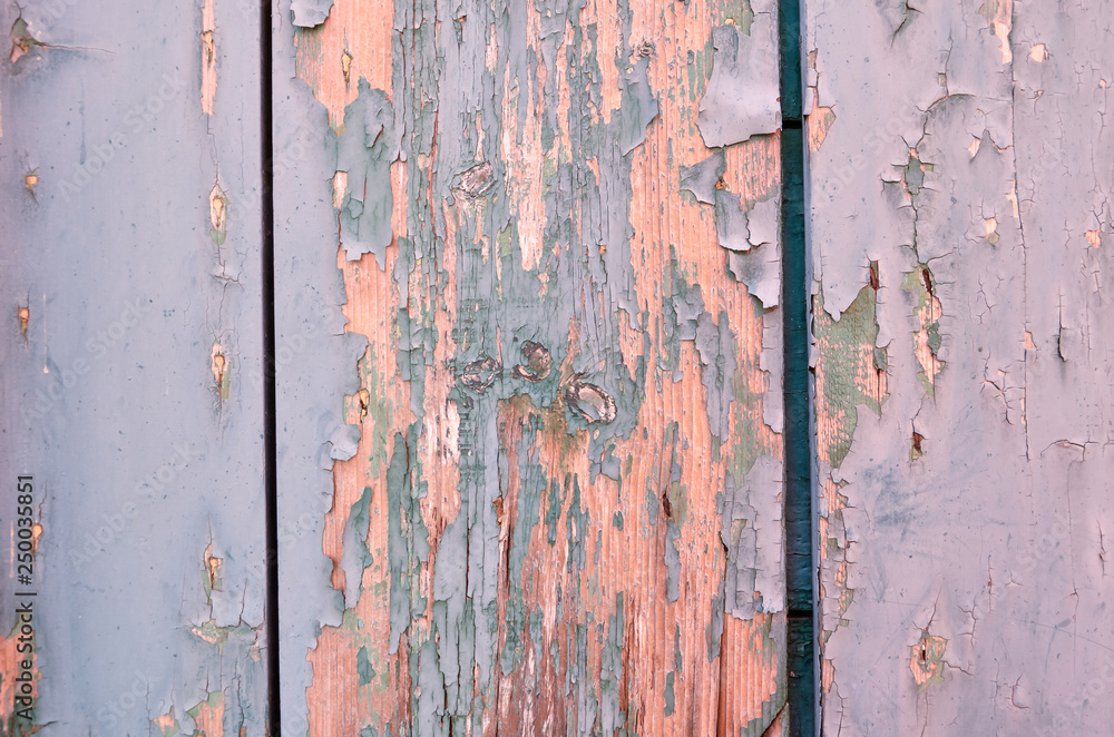 Old wood light blue and green. Weathered cracked paint on a wooden wall. Grunge background. Old wood light blue and green. Weathered cracked paint on a wooden wall. Grunge background.