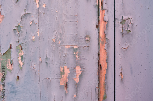 Weathered wood. Cracked paint on a wooden wall. Grunge background. Weathered wood light blue and green