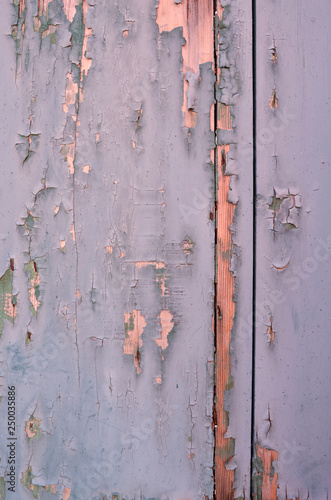 Aged wooden painted background. Cracked paint on a wooden wall. Grunge background.