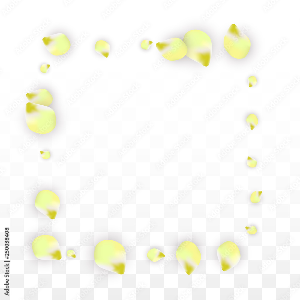 Vector Realistic Pink Petals Falling on Transparent Background.  Spring Romantic Flowers Illustration. Flying Petals. Sakura Spa Design. Blossom Confetti.