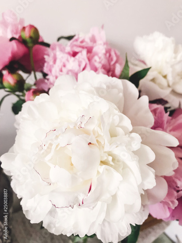 Beautiful big white peony and pink peonies in vase on stylish nightstand. Hello spring. Happy Mothers day