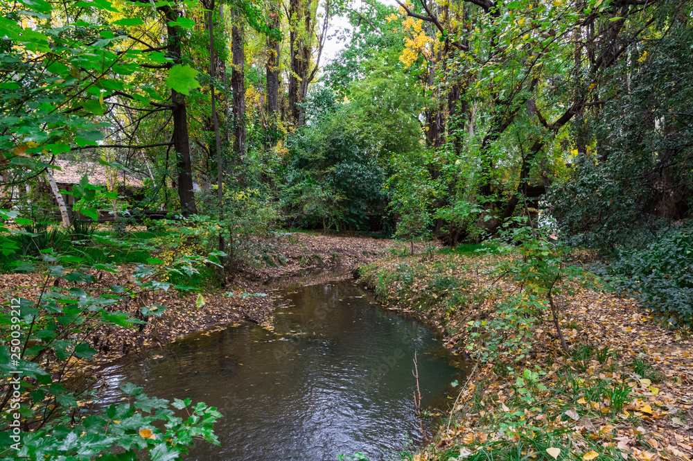 Silver Creek running through Beechworth in Victoria, Australia. Silver Creek running through Beechworth in Victoria, Australia.