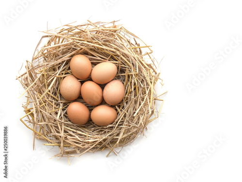Top view of brown eggs in a nest on a white background, image with copy space.
