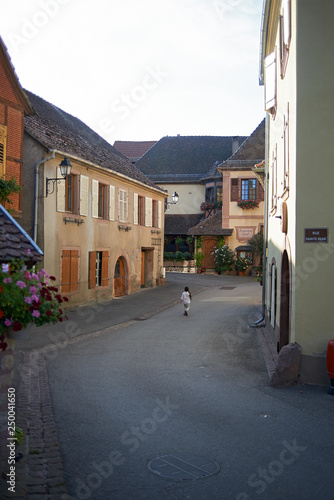 Fototapeta Naklejka Na Ścianę i Meble -  Architecture of buildings in a village in rural French town in the Alsace area in summer sunshine