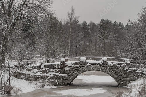 Bridge