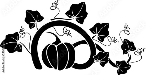 Black silhouette of general view of pumpkin plant with ripe fruit and leaves isolated on white background
