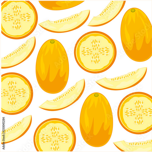 Decorative pattern of the ripe vegetable melon