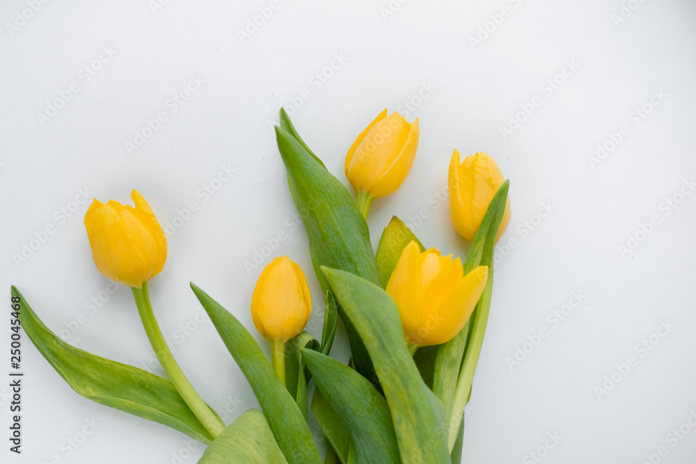Obraz premium A bouquet of fresh, beautiful tulips arranged on white, isolated background copy space