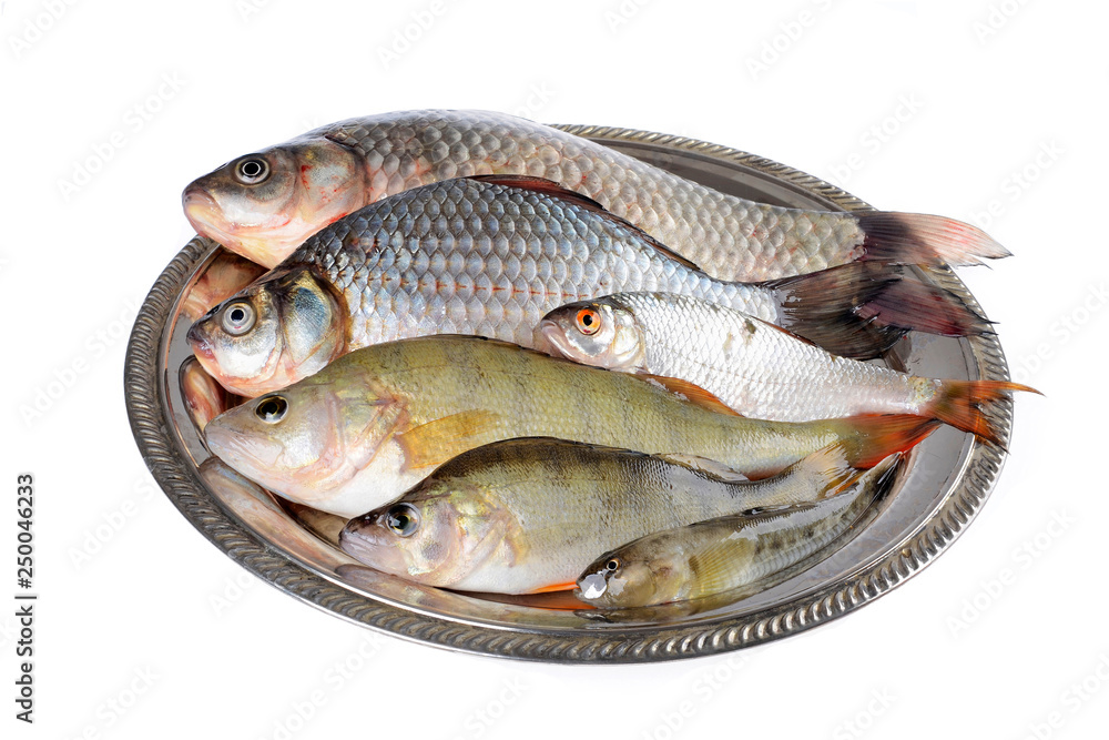 Fresh fish (Scardinius erythrophthalmus,carassius) on a plate,on an isolated white background Fresh fish (Scardinius erythrophthalmus,carassius) on a plate,on an isolated white background
