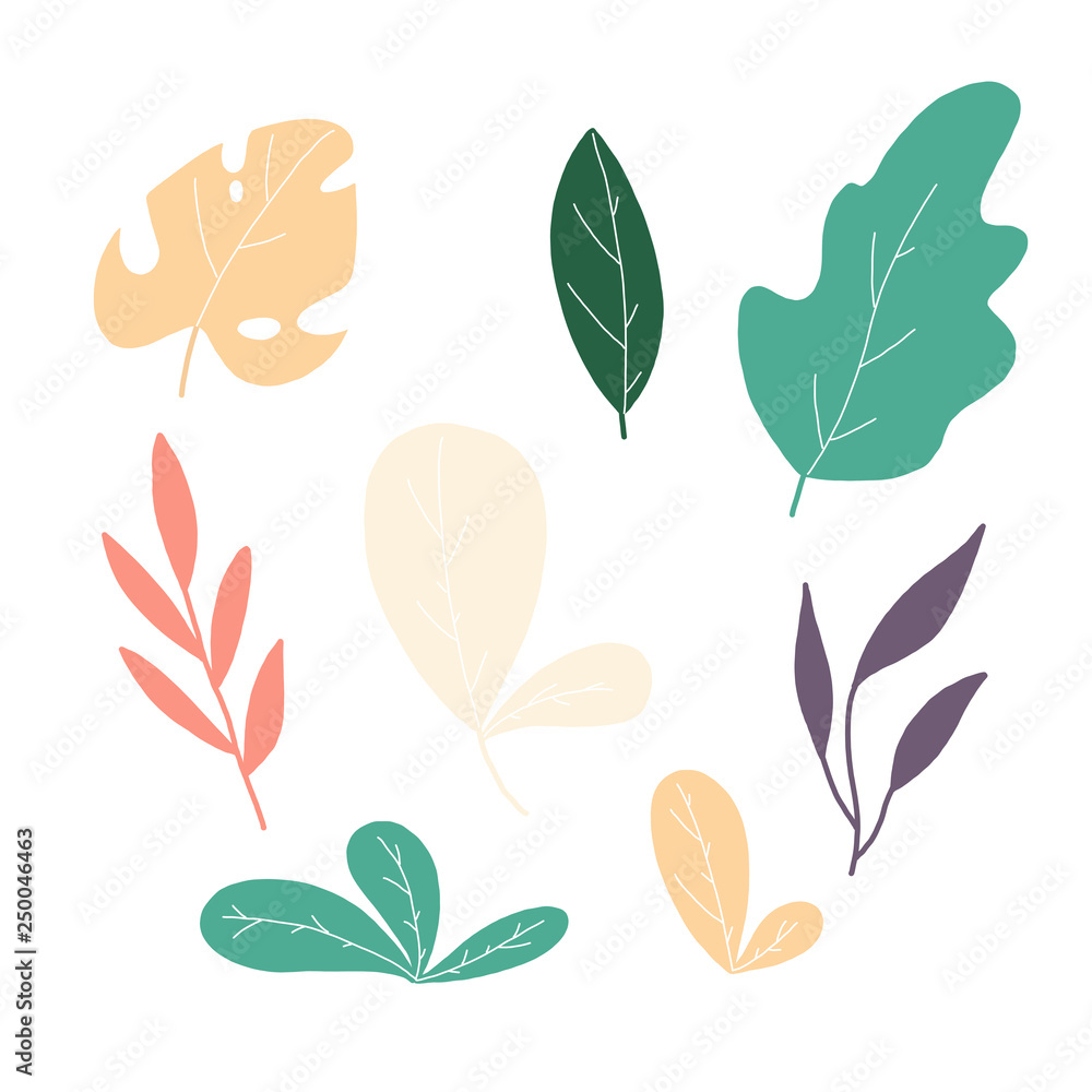 leaves tropical leaves tropical