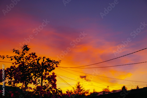 sunset over field