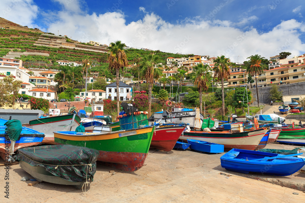 Beautiful view of the colored fisher boats in the Harbor of Camara de Lobos on the island of Madeira in summer
