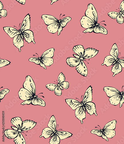 Butterfly. Vector drawing