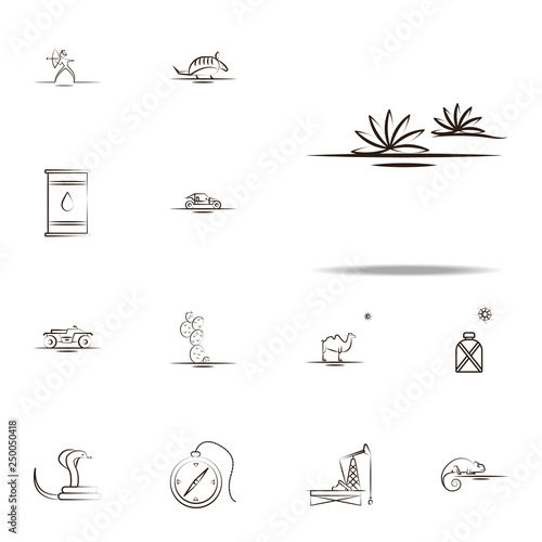 agave desert icon. Desert icons universal set for web and mobile