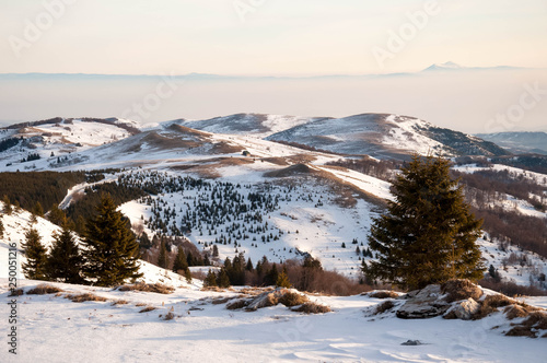 Mountain forest Winter © Toni