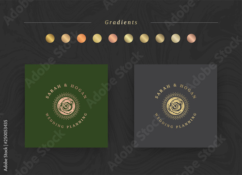 Elegant luxury brand logo design template vector illustration.