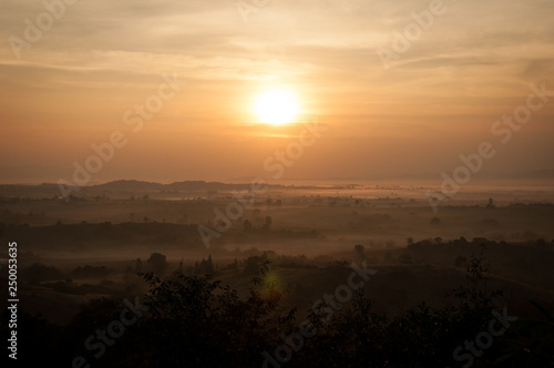 The dawn on the field