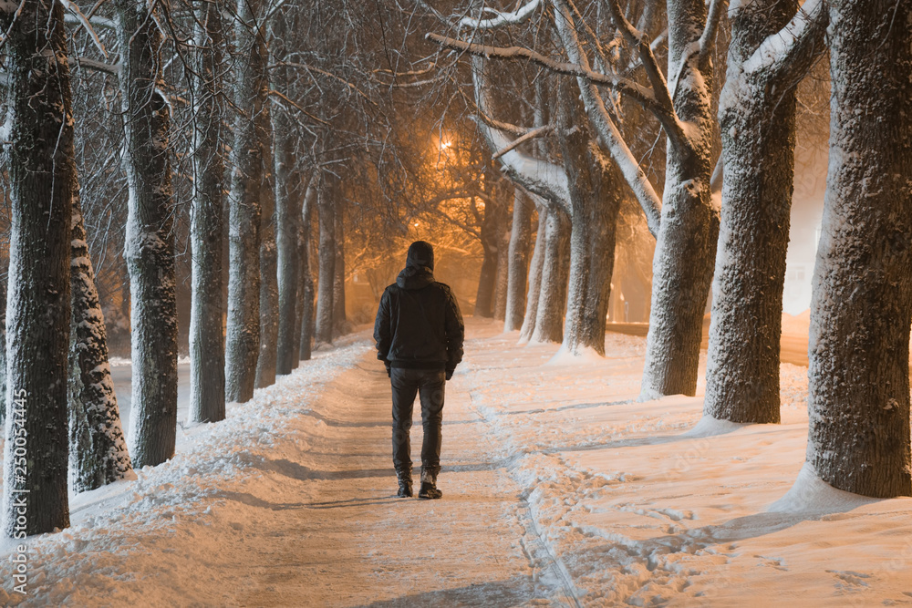 Young man in black clothes alone slowly walking on snow covered sidewalk through alley of trees. Peaceful atmosphere in snowy winter night. Back view. Young man in black clothes alone slowly walking on snow covered sidewalk through alley of trees. Peaceful atmosphere in snowy winter night. Back view.