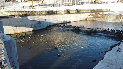 Wallpaper Mural Walk along the embankment of the river Western Dvina Torontodigital.ca