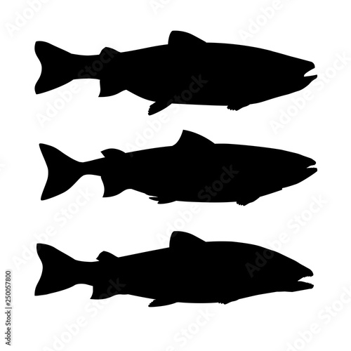 Set of salmon fish