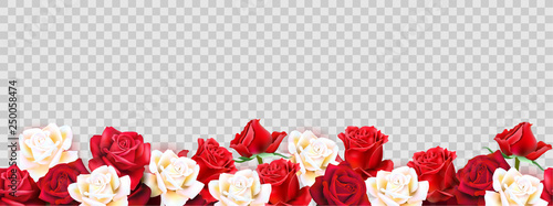 Red roses border photo