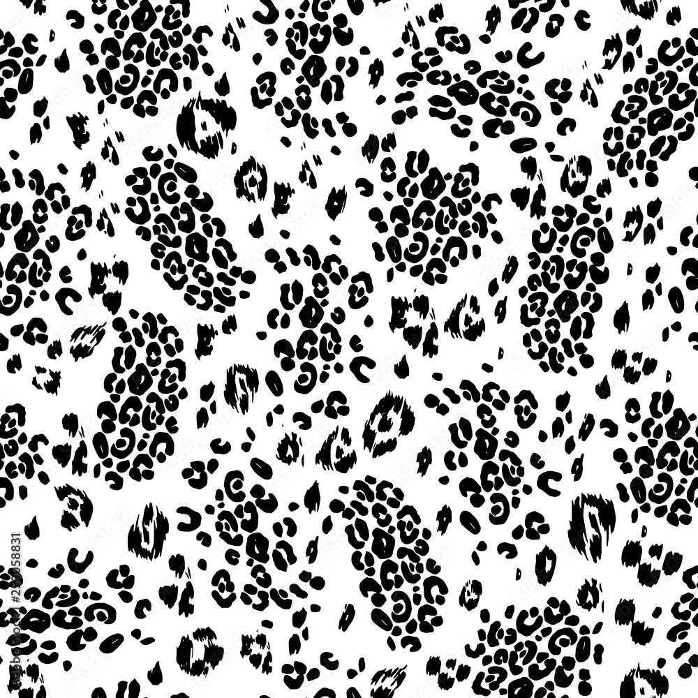 Black and white leopard Black and white leopard