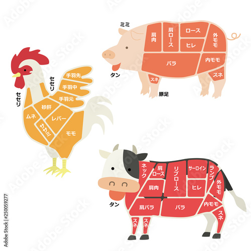 肉になる動物のイラスト（部位説明有り）