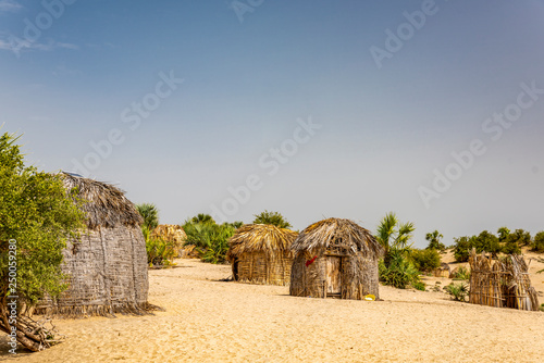 Village of traditional round bomas of the semi-nomadic Turkana people, on shores of Lake Turkana, Kenya. The small dwellings are constructed from doum palm fronds, animal skins and timber.  photo