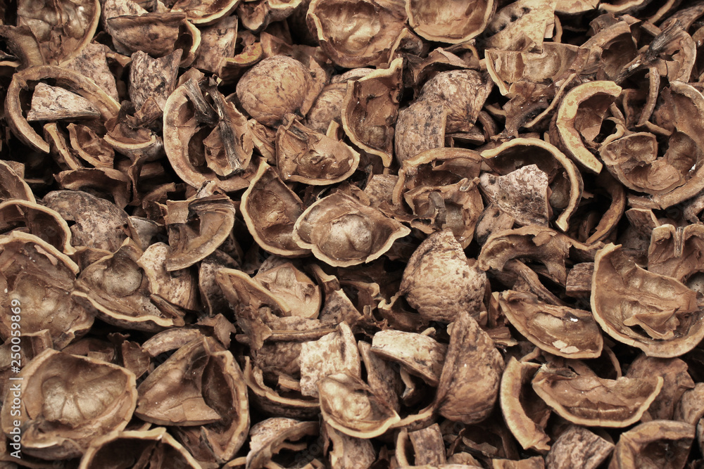Broken walnut shells as background Broken walnut shells as background