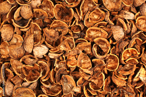 Broken walnut shells as background