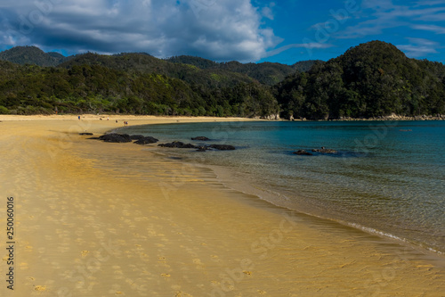 Beach in Able Tasman National Park New Zealand © Wise Dog Studios