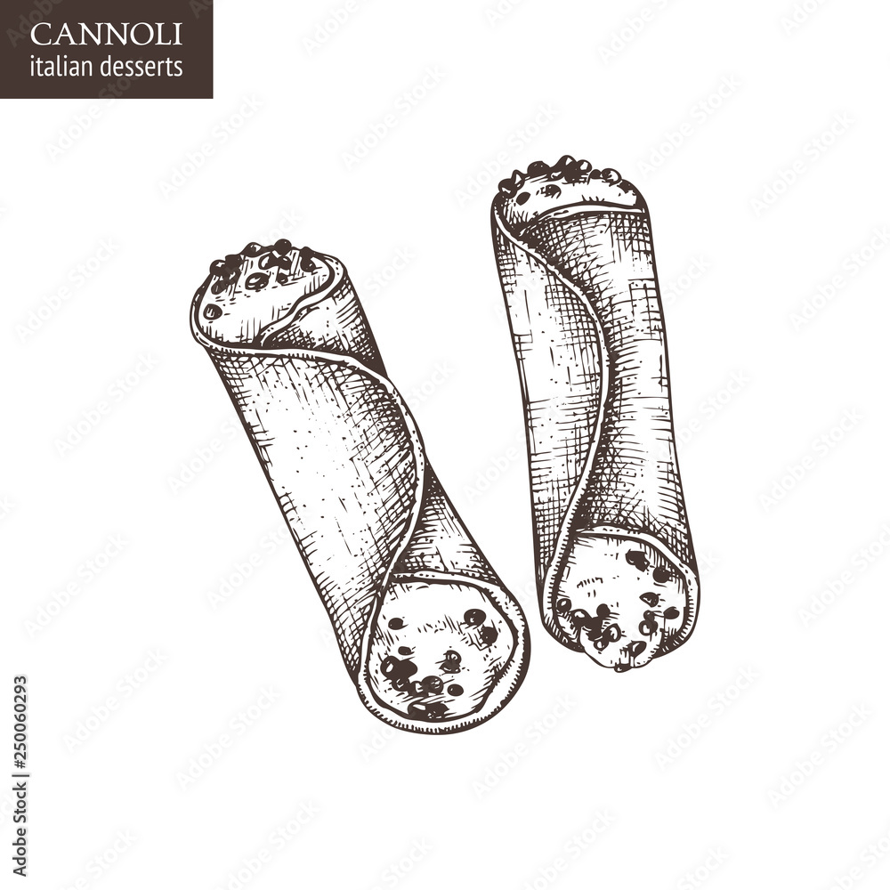 Φωτογραφία Hand drawn cannoli illustration on white background
